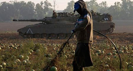 L'armée israélienne empoisonne des terres agricoles à Gaza.