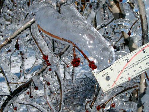 Un hiver inhabituel pour l’Europe: le froid congèle le Vieux Continent.