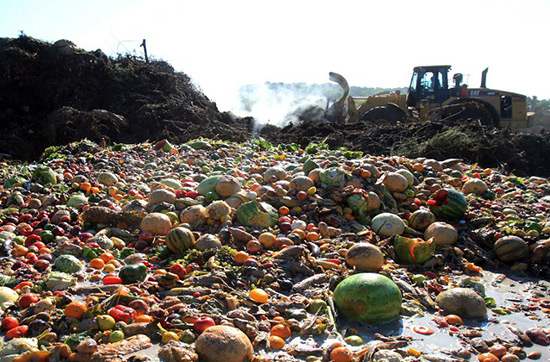 Gaspillage alimentaire: les Américains jettent 150.000 tonnes de nourriture par jour