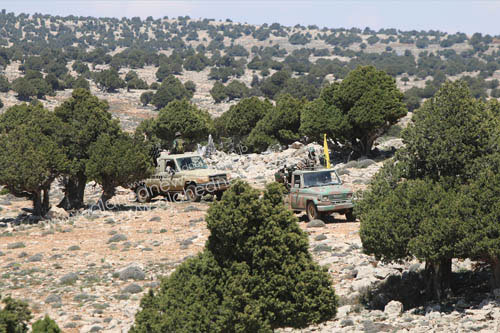 Visite au Qalamoune.