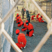 Guantanamo: état critique des détenus en grève de la faim pour dénoncer la profanation du Coran
