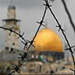 Des colons envahissent la mosquée d’al-Aqsa