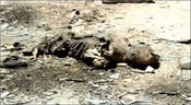Al-Nosra incendie les cadavres de ses combattants pour cacher leurs identités