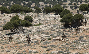 Visite au Qalamoune