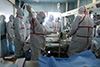 En #Chine, le nombre de morts de la #grippe aviaire explose