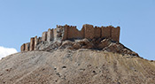 La citadelle de Palmyre libérée
