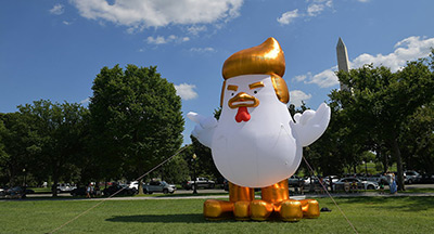 Trump en vacances, un poulet gonflable le remplace à la Maison-Blanche
