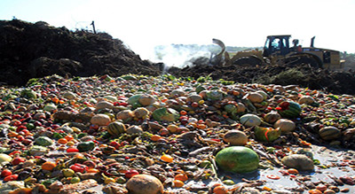 Gaspillage alimentaire: les Américains jettent 150.000 tonnes de nourriture par jour
