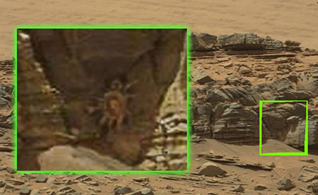 Y a-t-il de la vie sur Mars? un crabe géant sur la planète agite Internet.