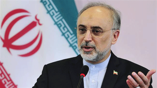 Salehi: l'accord nucléaire iranien ne serait «pas sérieusement menacé» par une victoire de Trump
