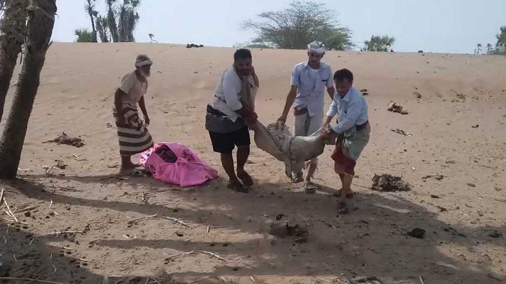 Yémen: nouveau massacre saoudien à Hodeïda, au moins 27 enfants tués