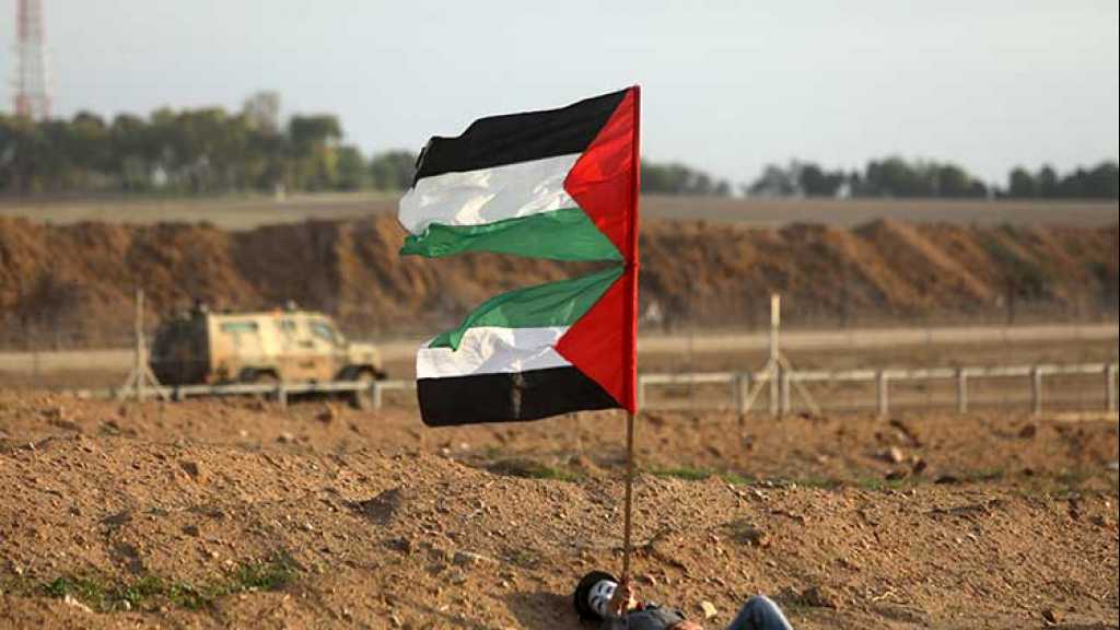 Le drapeau palestinien, bannière de la Marche de retour 