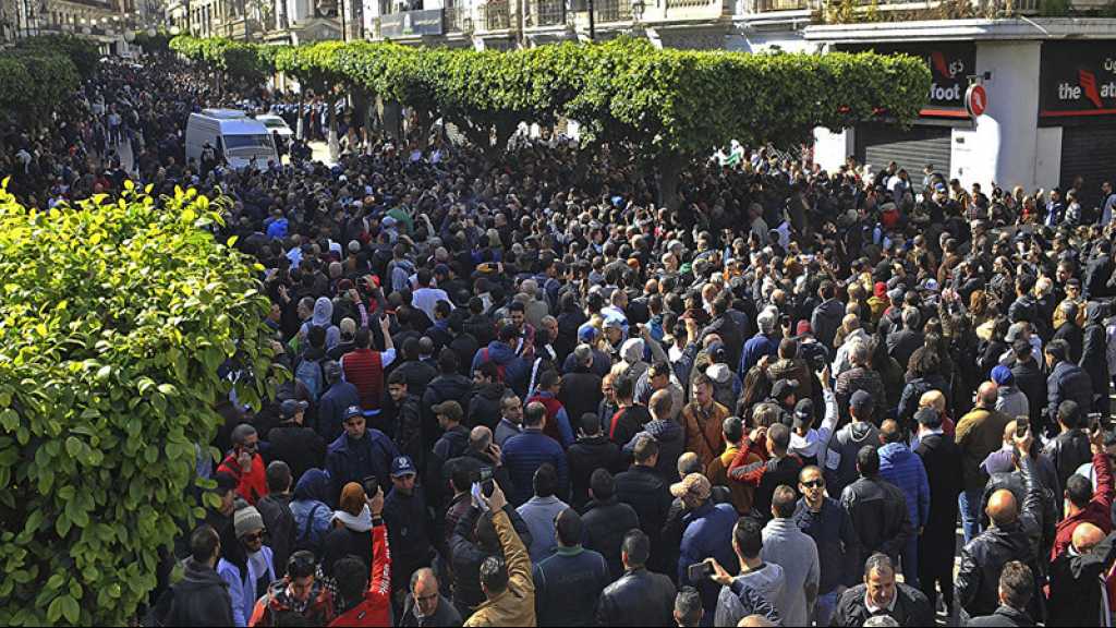 Algérie: le Conseil constitutionnel rejette un appel contre la candidature de Bouteflika