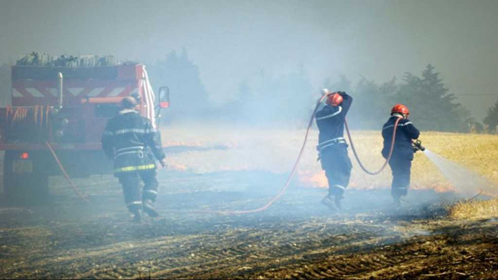 Canicule: des milliers d’hectares de cultures incendiés en France