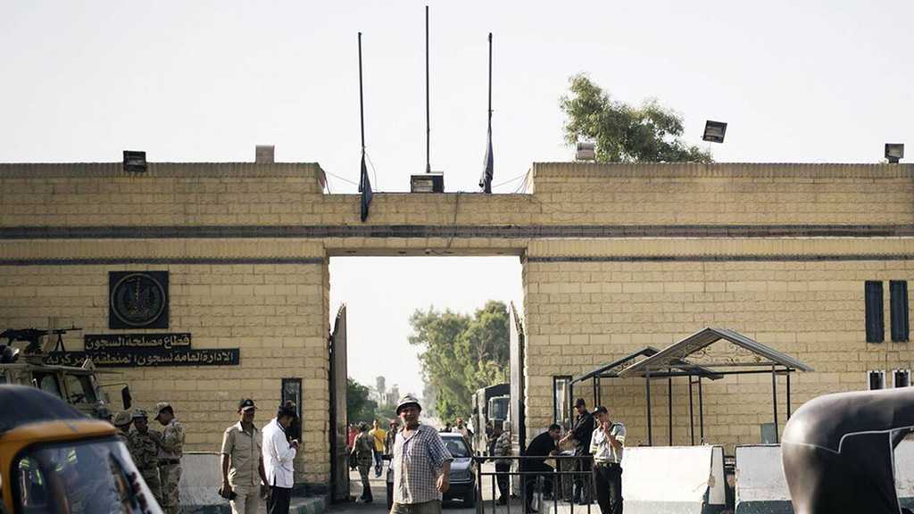 Égypte. Amnesty évoque une grève massive de la faim dans une prison du Caire