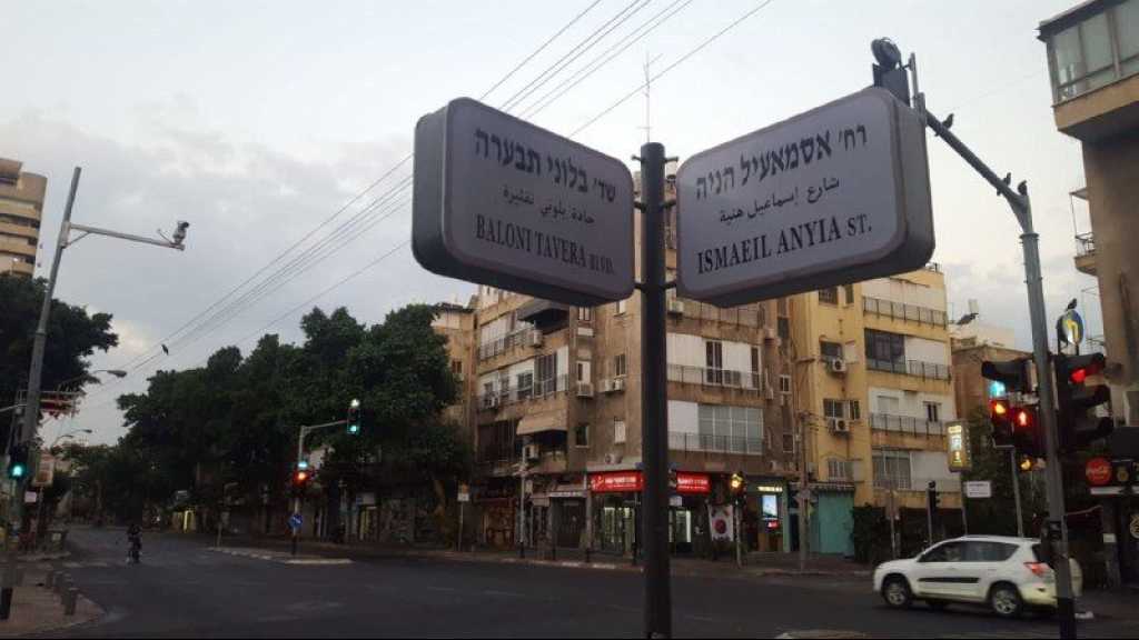 Des rues de «Tel Aviv» rebaptisées «Yasser Arafat», «Ismaïl Haniyeh» ou encore «ballons incendiaires»