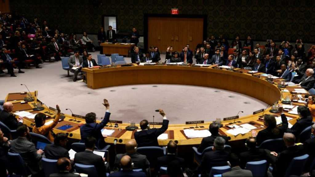 Syrie: les Européens à l’ONU demandent l’arrêt de l’offensive turque