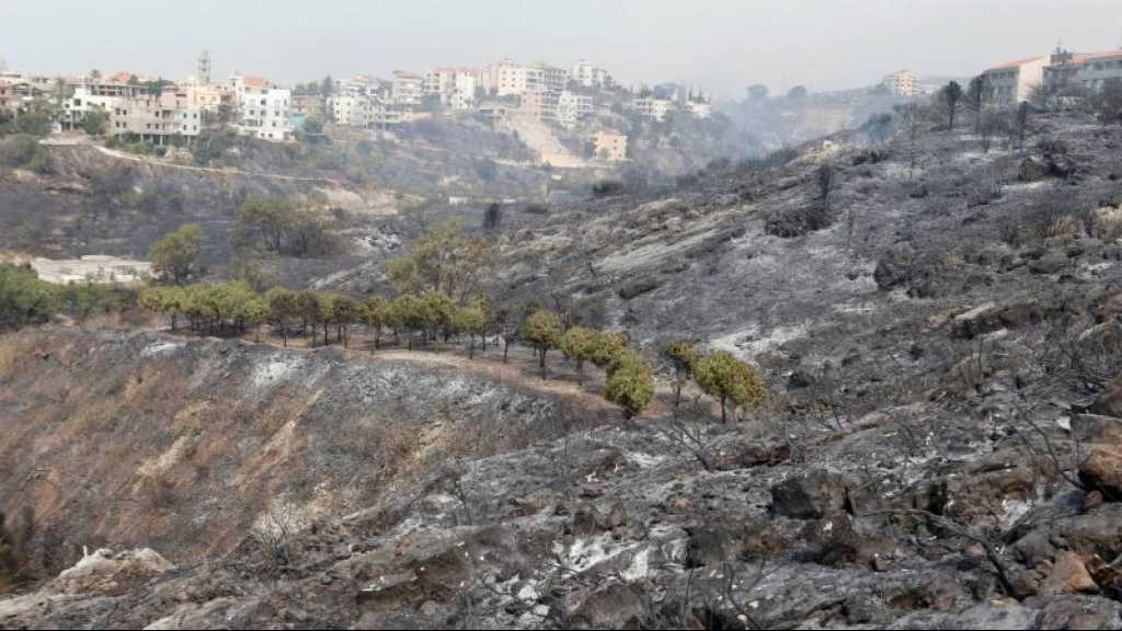 Liban: la majorité des incendies maîtrisés, quelques foyers «limités» persistent