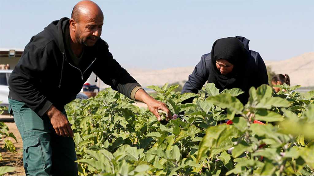 «Israël» bloque les exportations de produits agricoles palestiniens