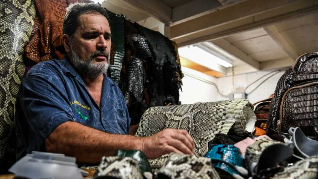 Un artisan de Floride fabrique des masques antivirus en peau de python et d’iguane
