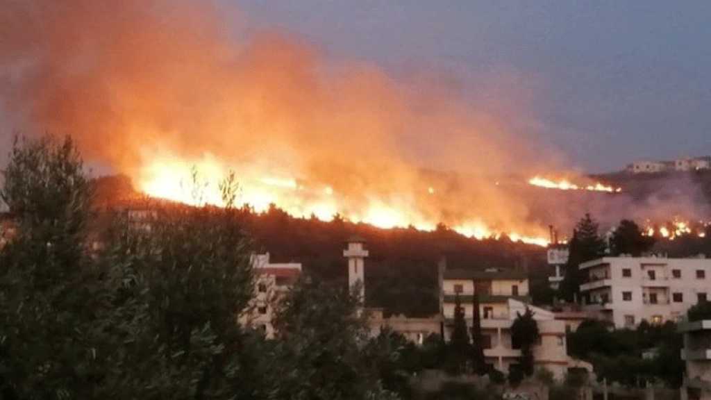 Incendies: Plus de 650 hectares de terres agricoles endommagés dès le début de l’année