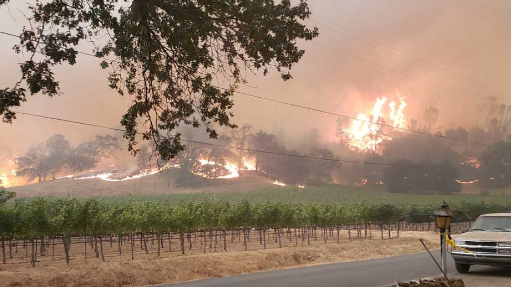 Incendies en Californie: une quatrième victime, les domaines viticoles durement touchés