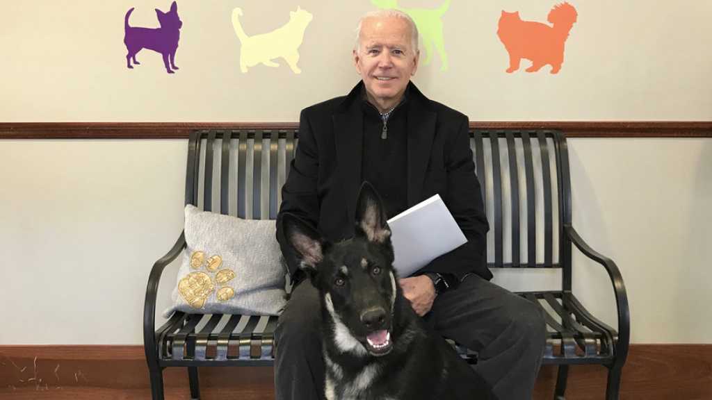 Joe Biden se fracture le pied en jouant avec un de ses chiens