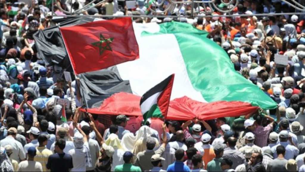 Maroc: plus de 200 scientifiques et universitaires condamnent la normalisation avec «Israël»