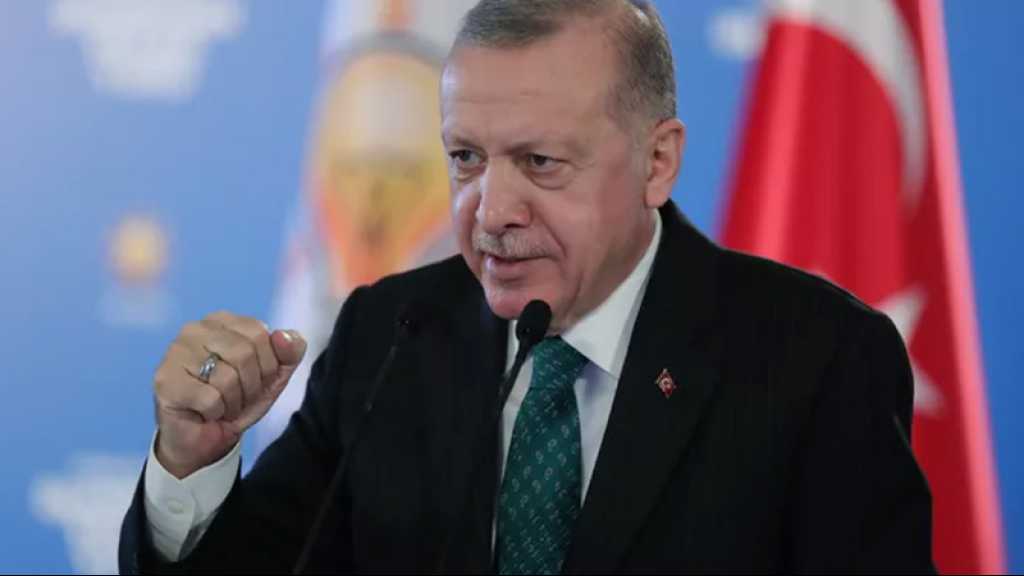 Erdogan souhaite un sommet Turquie-UE avant fin juin