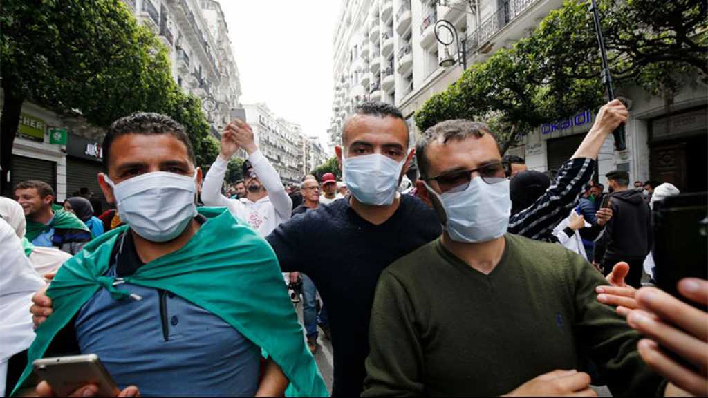 Algérie : le Hirak dans la rue après l’annonce d’élections anticipées