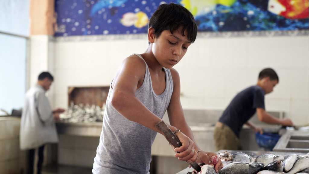 Le travail des enfants augmente pour la première fois en deux décennies