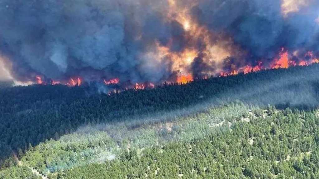 Canicule: une centaine d’incendies font rage dans l’ouest du Canada et en Californie