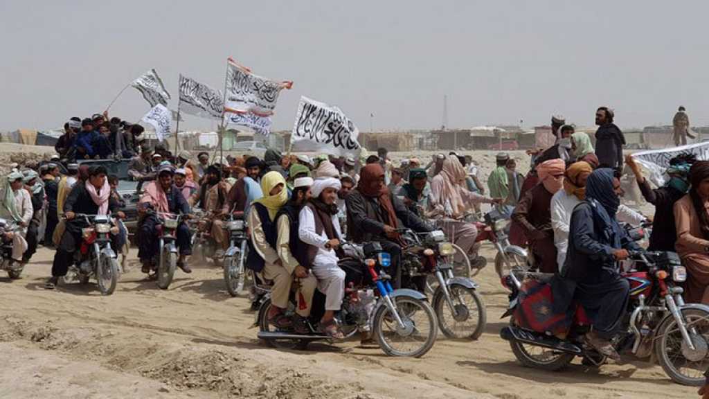 Afghanistan: les talibans proposent 3 mois de cessez-le-feu contre la libération de 7.000 prisonniers