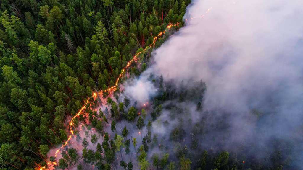 Les feux de forêt dévastateurs en Sibérie «quasiment» éteints