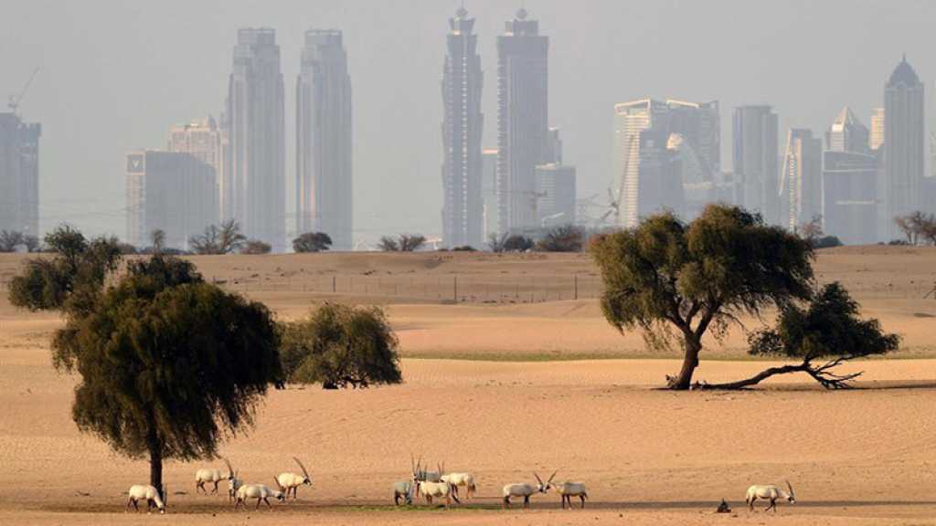 Climat: le Moyen-Orient pourrait connaître des pics de chaleur à 60 degrés dans les années à venir