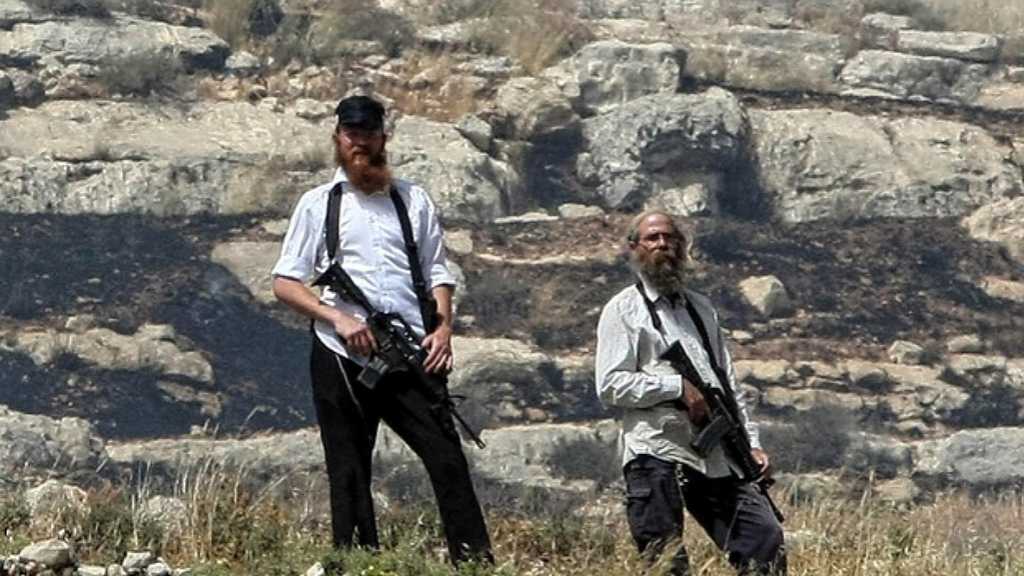 Cisjordanie occupée: Plus de 450 attaques de colons contre des Palestiniens depuis 2020 