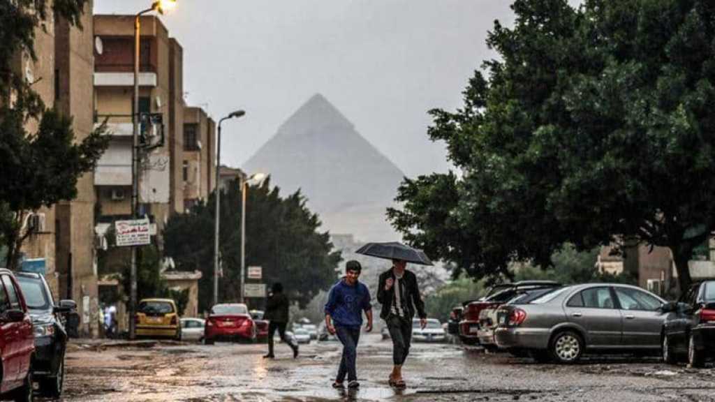 Egypte: des pluies inédites depuis 11 ans provoquent 4 morts et 500 piqûres de scorpions