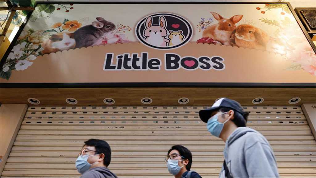Hong Kong va tuer des milliers de hamsters après la découverte de cas de Covid dans une animalerie