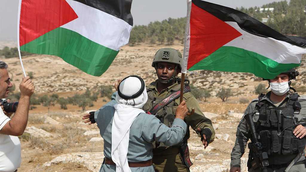 Cisjordanie occupée: 159 manifestants palestiniens blessés lors d’affrontements avec des soldats israéliens