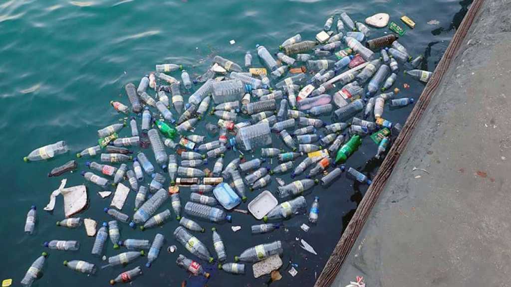 La pollution plastique et chimique a dépassé les «limites» de la planète