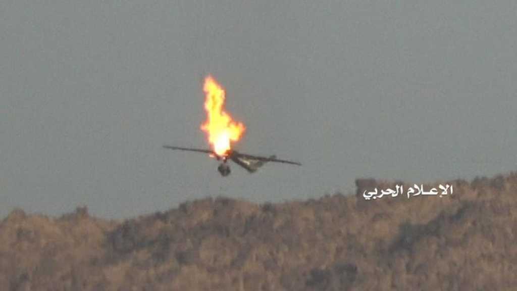 Yémen : Les défenses aériennes ont abattu un drone Scan Eagle à Hajjah