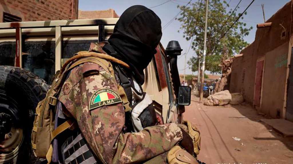 Mali: l’armée dit avoir tué «203 combattants» terroristes dans une opération au Sahel