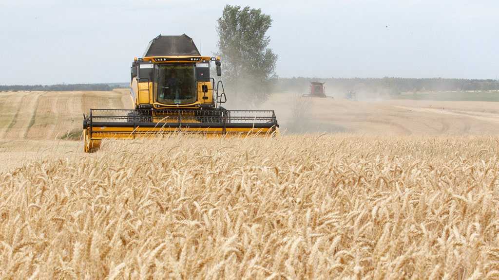 Guerre en Ukraine: les prix alimentaires mondiaux à un niveau jamais enregistré, selon la FAO