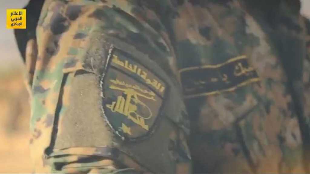 La force Radwane du Hezbollah hante «Israël»: elle a opéré un changement primordial sur la frontière avec le Liban, selon «Haaretz»