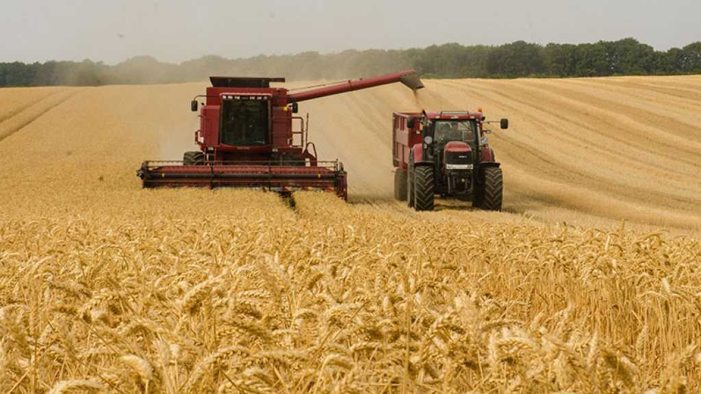 Le cours du blé bat son record absolu après l’embargo indien sur les exportations