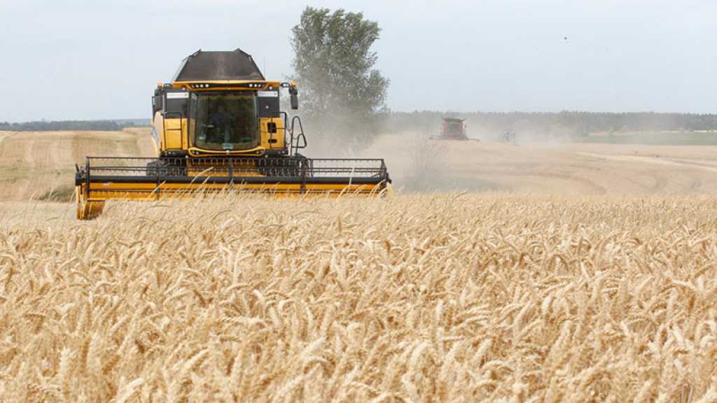 Ukraine: la Russie demande la levée des sanctions pour éviter une crise alimentaire mondiale