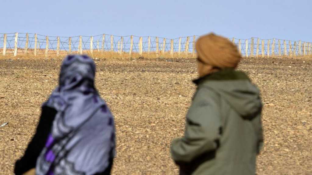 Sahara occidental: plaintes pour torture déposées contre le Maroc à l’ONU