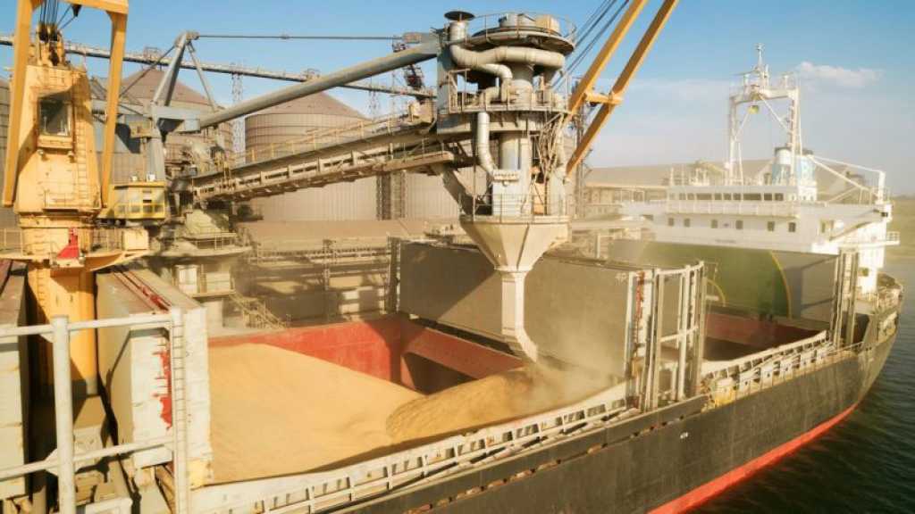 La reprise des exportations de céréales d’Ukraine est «une question de vie ou de mort», déclare Borrell