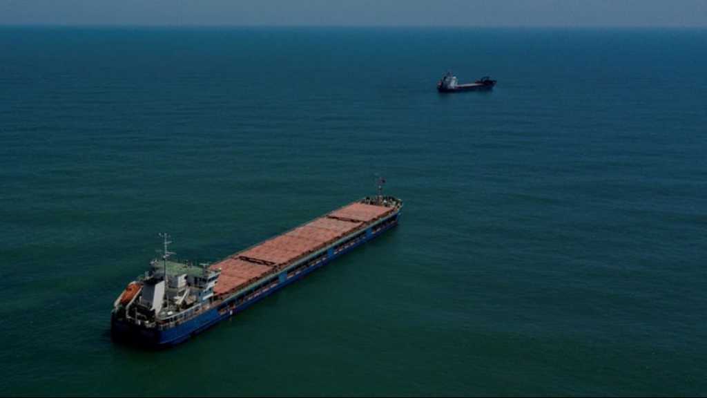 Céréales : les ports ukrainiens ont «repris le travail», annonce la marine ukrainienne