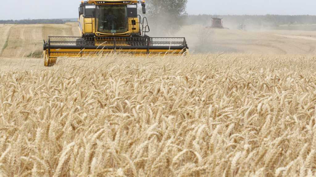 L’Ukraine a besoin d’exporter 50 millions de tonnes de céréales au cours de la campagne de commercialisation 2022-2023